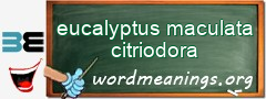 WordMeaning blackboard for eucalyptus maculata citriodora